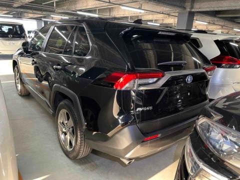 2019 Toyota RAV4 - Thumbnail