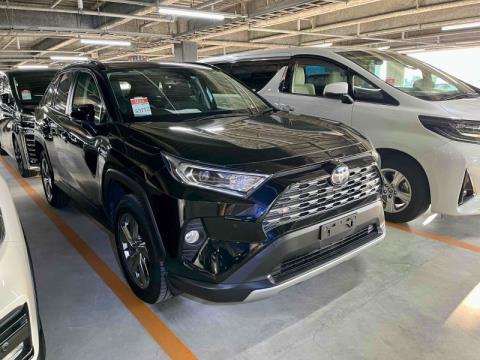 2019 Toyota RAV4 - Thumbnail